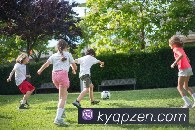 多媒体互动体验